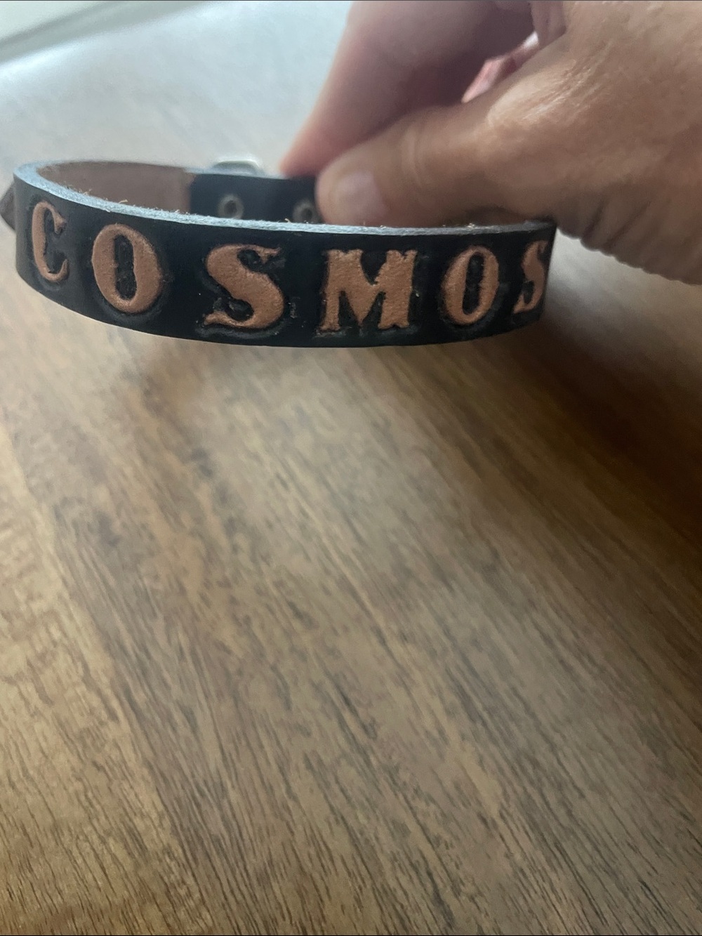 Black Leather 'COSMOS' Embossed doggie collar.